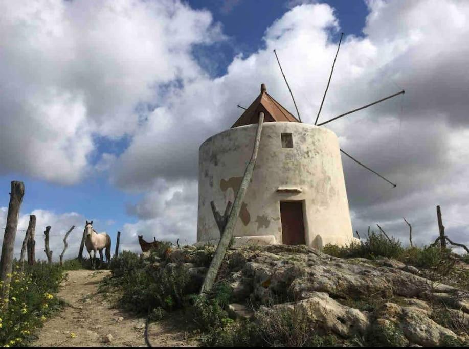 La Torre Eco-Suite Vejer de la Frontera Exterior photo